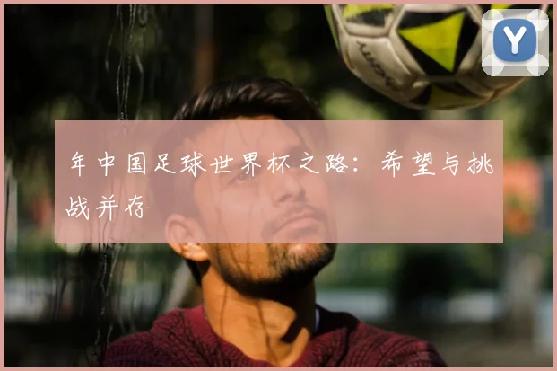 年中国足球世界杯之路：希望与挑战并存